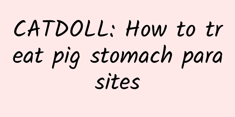 CATDOLL: How to treat pig stomach parasites