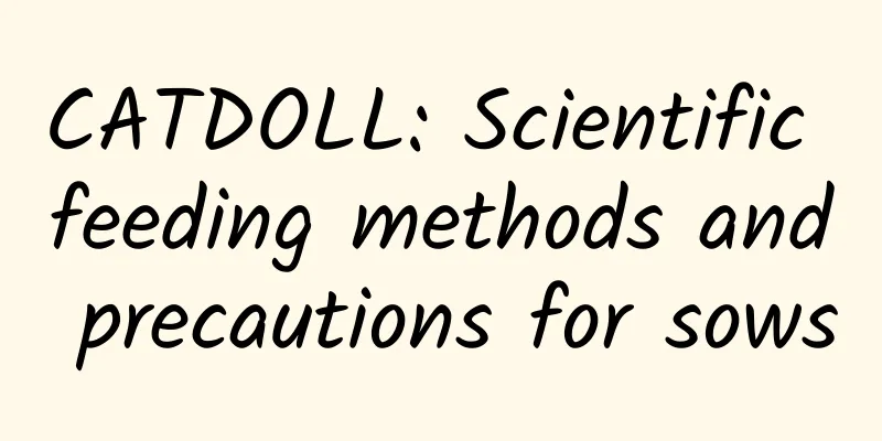 CATDOLL: Scientific feeding methods and precautions for sows