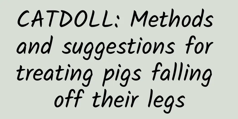 CATDOLL: Methods and suggestions for treating pigs falling off their legs