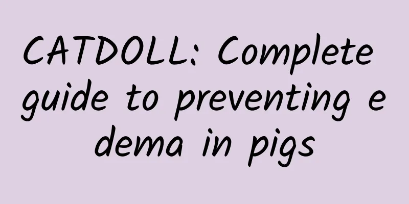 CATDOLL: Complete guide to preventing edema in pigs