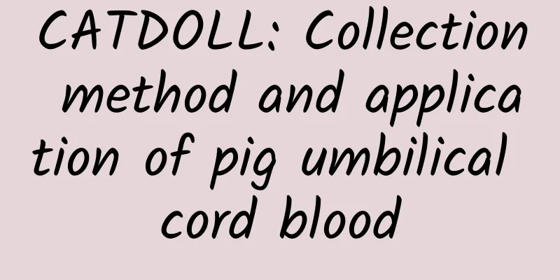 CATDOLL: Collection method and application of pig umbilical cord blood