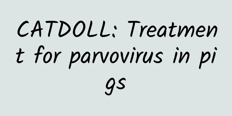CATDOLL: Treatment for parvovirus in pigs
