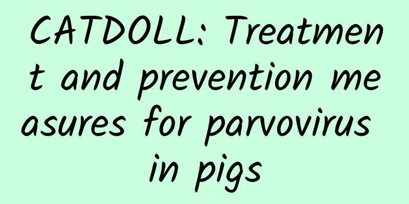 CATDOLL: Treatment and prevention measures for parvovirus in pigs