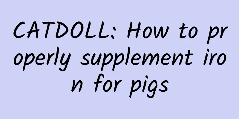 CATDOLL: How to properly supplement iron for pigs