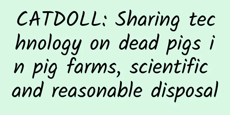 CATDOLL: Sharing technology on dead pigs in pig farms, scientific and reasonable disposal