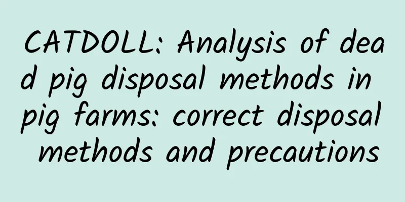 CATDOLL: Analysis of dead pig disposal methods in pig farms: correct disposal methods and precautions