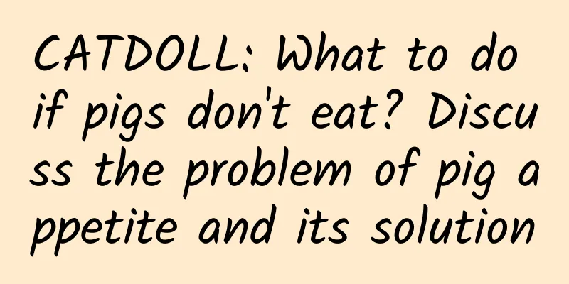 CATDOLL: What to do if pigs don't eat? Discuss the problem of pig appetite and its solution