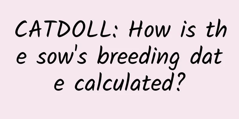 CATDOLL: How is the sow's breeding date calculated?