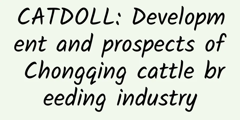 CATDOLL: Development and prospects of Chongqing cattle breeding industry