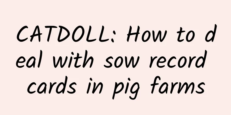 CATDOLL: How to deal with sow record cards in pig farms