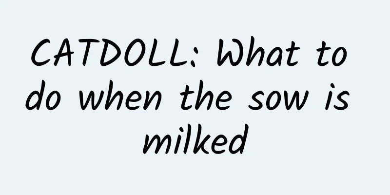 CATDOLL: What to do when the sow is milked