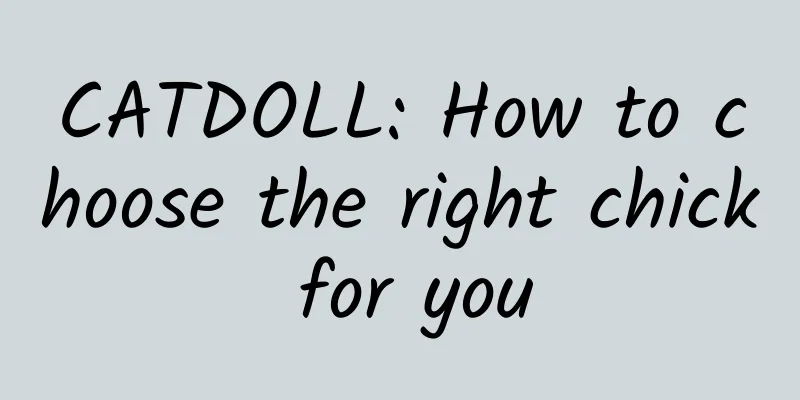 CATDOLL: How to choose the right chick for you