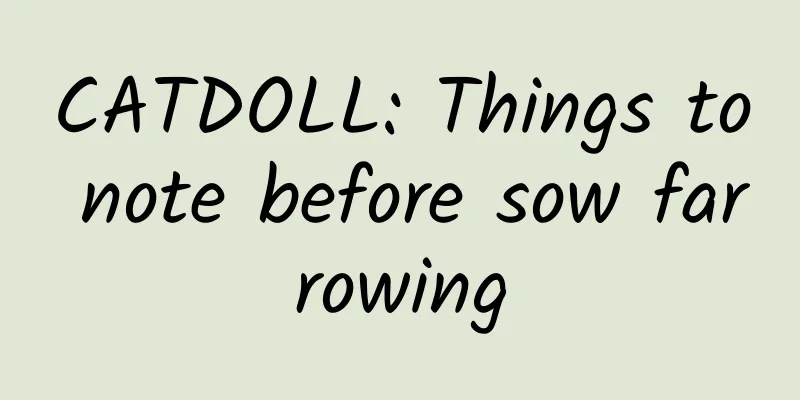 CATDOLL: Things to note before sow farrowing