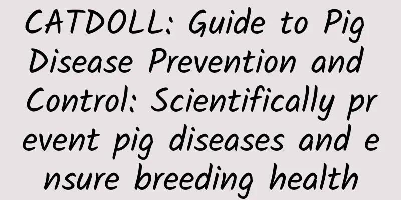 CATDOLL: Guide to Pig Disease Prevention and Control: Scientifically prevent pig diseases and ensure breeding health