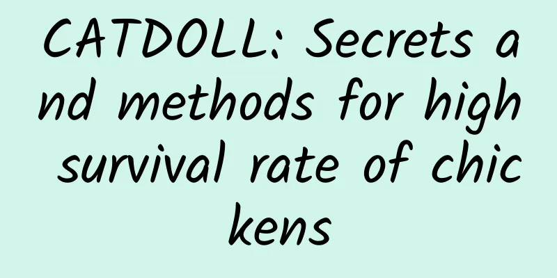CATDOLL: Secrets and methods for high survival rate of chickens