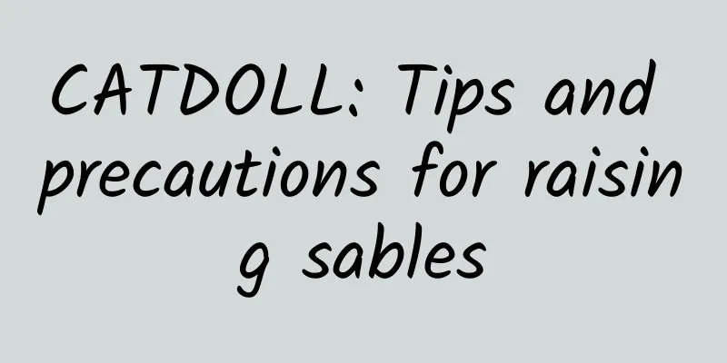 CATDOLL: Tips and precautions for raising sables