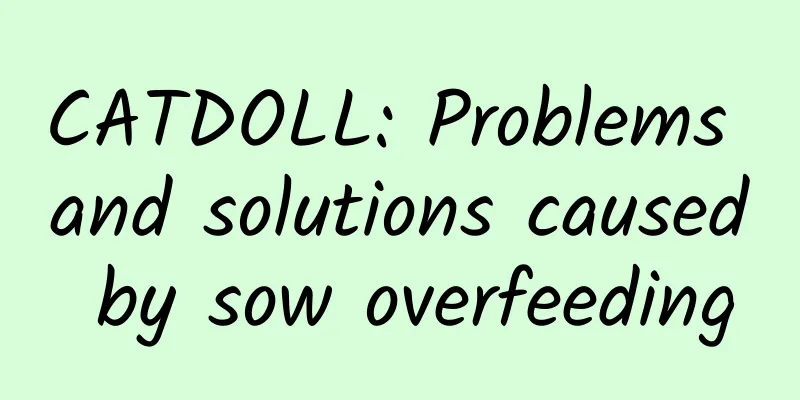 CATDOLL: Problems and solutions caused by sow overfeeding