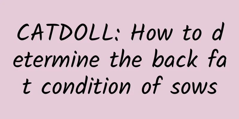 CATDOLL: How to determine the back fat condition of sows