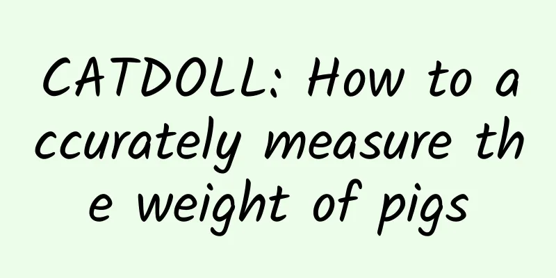 CATDOLL: How to accurately measure the weight of pigs