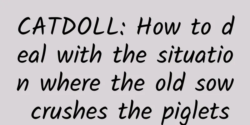 CATDOLL: How to deal with the situation where the old sow crushes the piglets