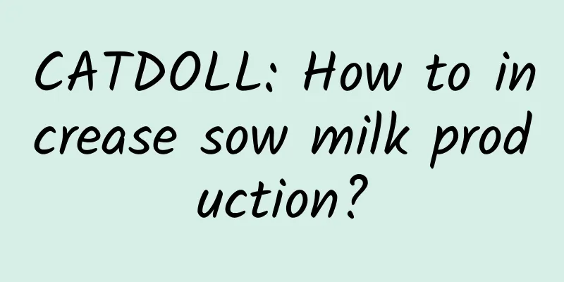 CATDOLL: How to increase sow milk production?