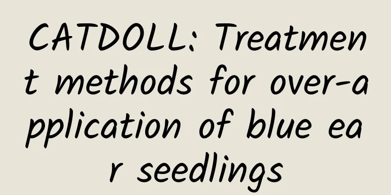 CATDOLL: Treatment methods for over-application of blue ear seedlings
