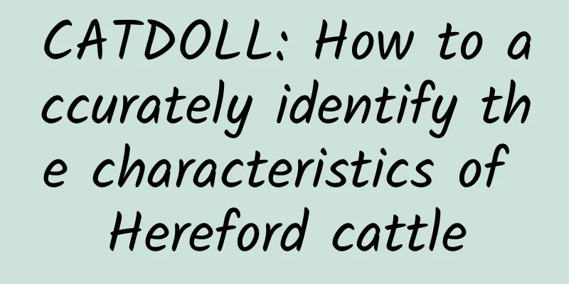 CATDOLL: How to accurately identify the characteristics of Hereford cattle