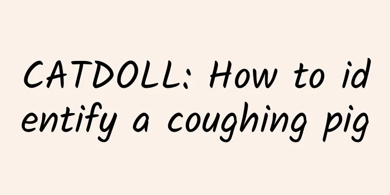 CATDOLL: How to identify a coughing pig