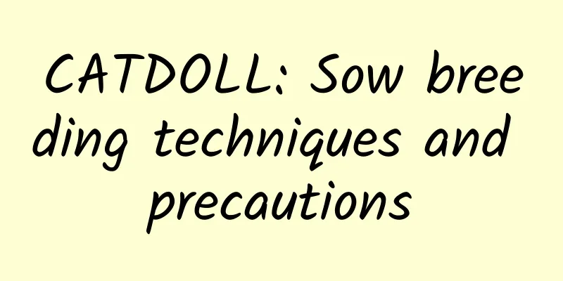 CATDOLL: Sow breeding techniques and precautions