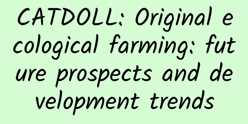 CATDOLL: Original ecological farming: future prospects and development trends