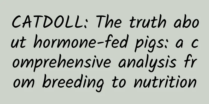 CATDOLL: The truth about hormone-fed pigs: a comprehensive analysis from breeding to nutrition