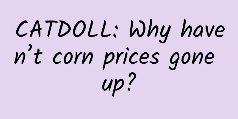 CATDOLL: Why haven’t corn prices gone up?