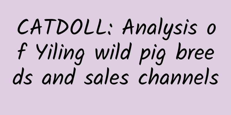 CATDOLL: Analysis of Yiling wild pig breeds and sales channels