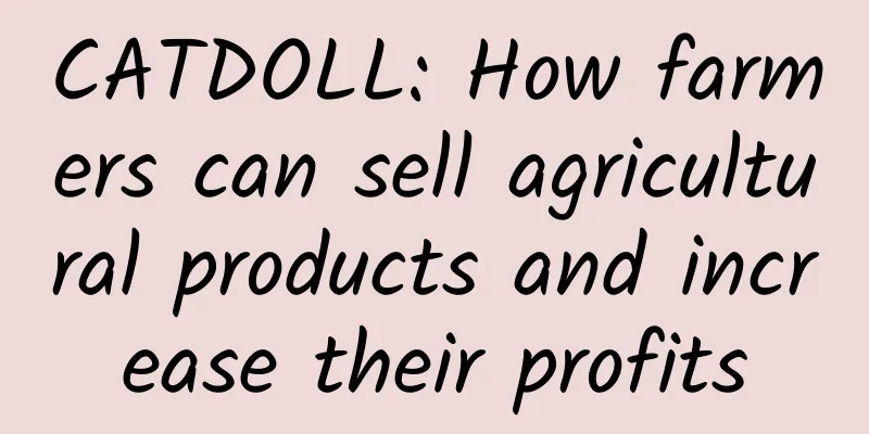 CATDOLL: How farmers can sell agricultural products and increase their profits