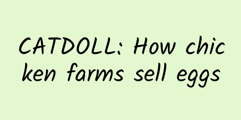 CATDOLL: How chicken farms sell eggs