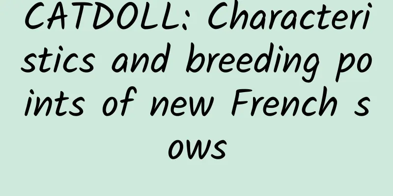 CATDOLL: Characteristics and breeding points of new French sows