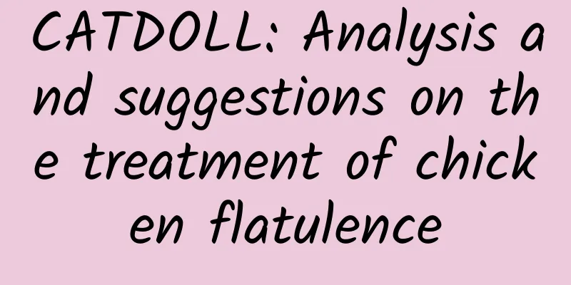 CATDOLL: Analysis and suggestions on the treatment of chicken flatulence
