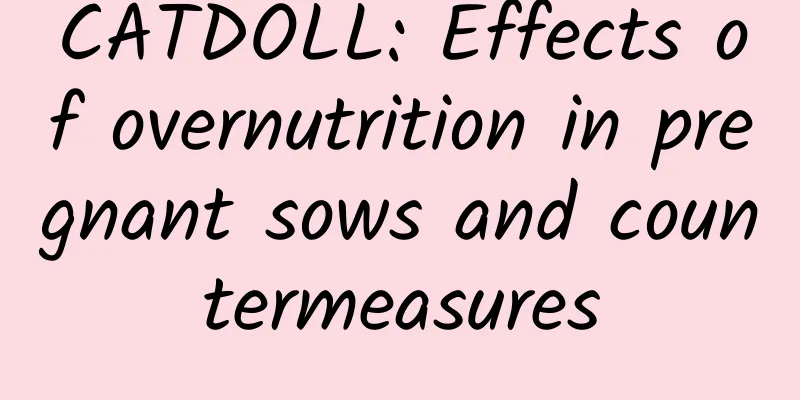CATDOLL: Effects of overnutrition in pregnant sows and countermeasures