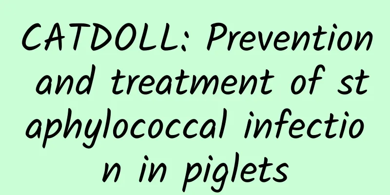 CATDOLL: Prevention and treatment of staphylococcal infection in piglets