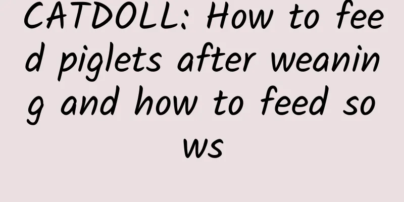 CATDOLL: How to feed piglets after weaning and how to feed sows