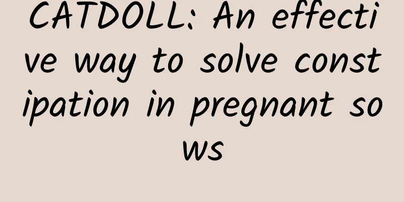 CATDOLL: An effective way to solve constipation in pregnant sows