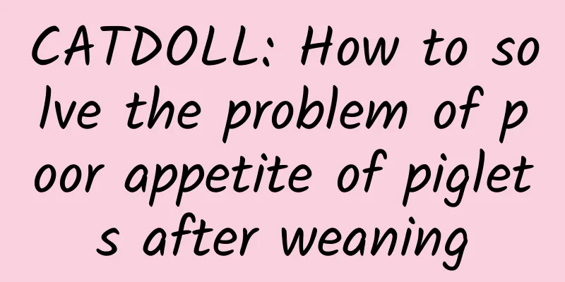 CATDOLL: How to solve the problem of poor appetite of piglets after weaning