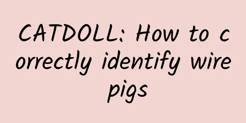 CATDOLL: How to correctly identify wire pigs