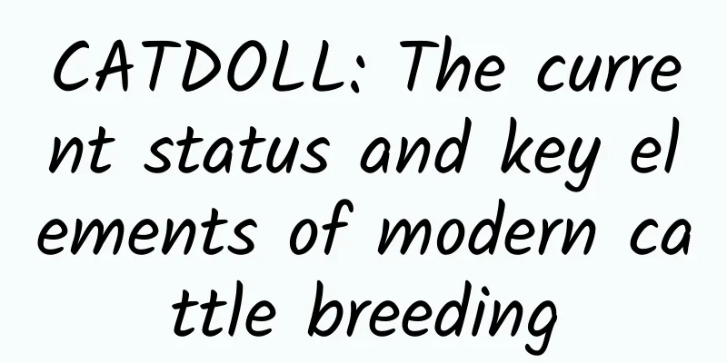 CATDOLL: The current status and key elements of modern cattle breeding