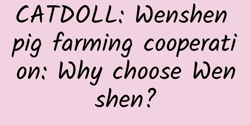 CATDOLL: Wenshen pig farming cooperation: Why choose Wenshen?