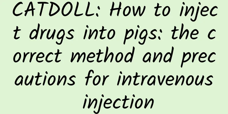 CATDOLL: How to inject drugs into pigs: the correct method and precautions for intravenous injection