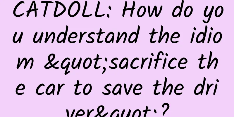 CATDOLL: How do you understand the idiom "sacrifice the car to save the driver"?