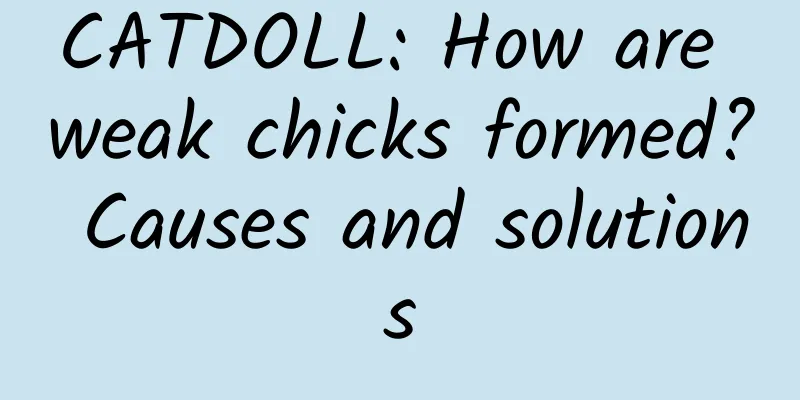 CATDOLL: How are weak chicks formed? Causes and solutions