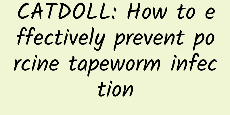 CATDOLL: How to effectively prevent porcine tapeworm infection