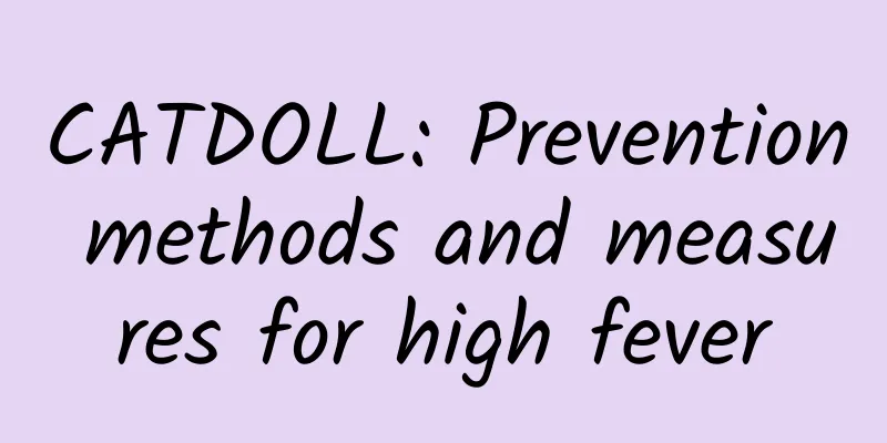 CATDOLL: Prevention methods and measures for high fever